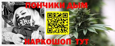 шишки Обь