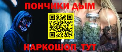 шишки Обь