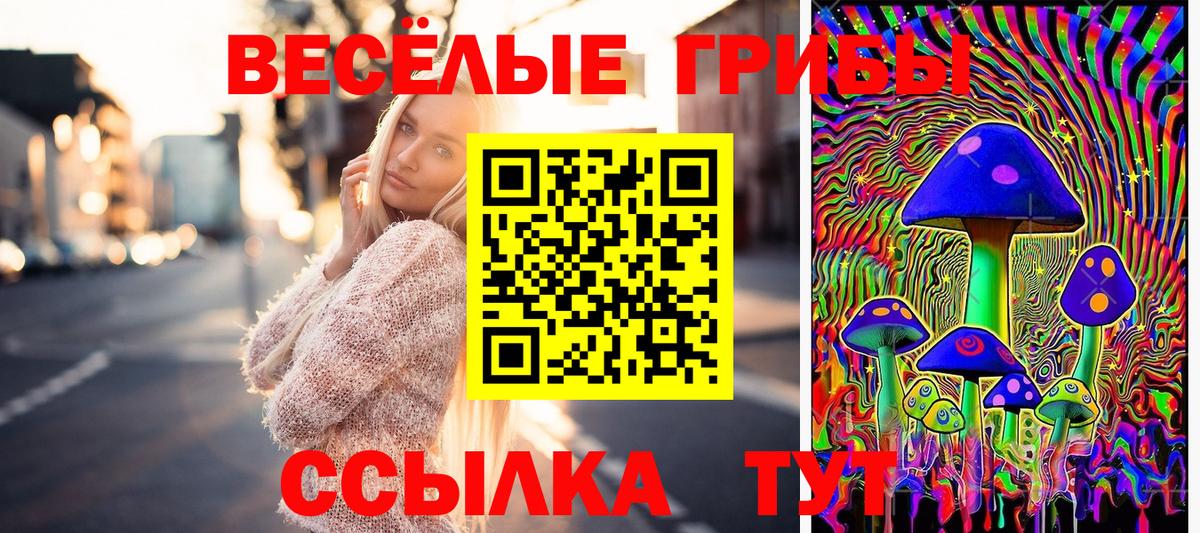 Галлюциногенные грибы мухоморы Саранск
