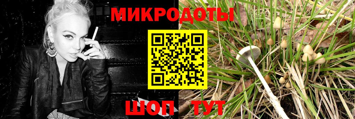 Галлюциногенные грибы Magic Shrooms  Вход с VPN  Саранск  Псилоцибиновые грибы Cubensis 